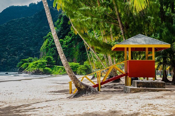 Private Tour Maracas Beach from Port of Spain - The Sum Up