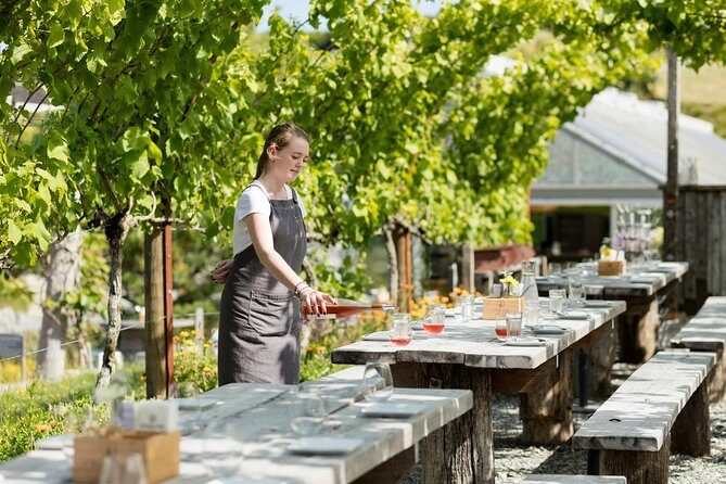 Private tour - Matakana Art & Wine Village - A Detailed Look at the Matakana Art & Wine Village Tour