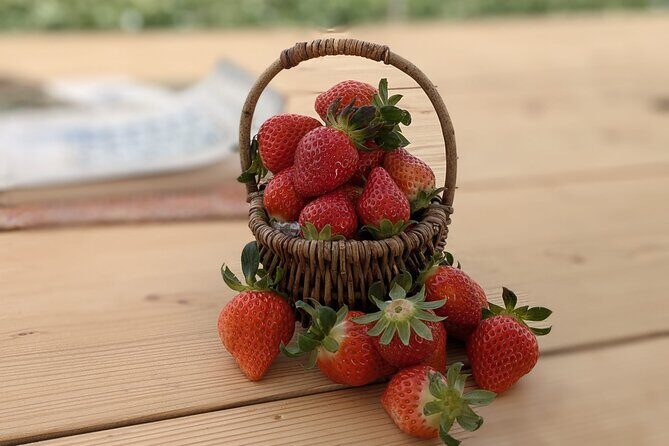 Private tour Meet the Sheep of Aso and pick Aso strawberries - Experience the Heart of Aso: Meet Sheep, Pick Strawberries, and Savor Local Flavors