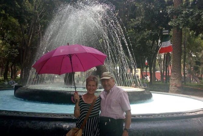 Private Tour Mexico City - Best Rated - The Practicalities: What You Need to Know