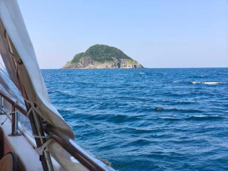 Private tour : Monkey Cruise & Explore Samurai Culture - Who Should Consider This Tour?