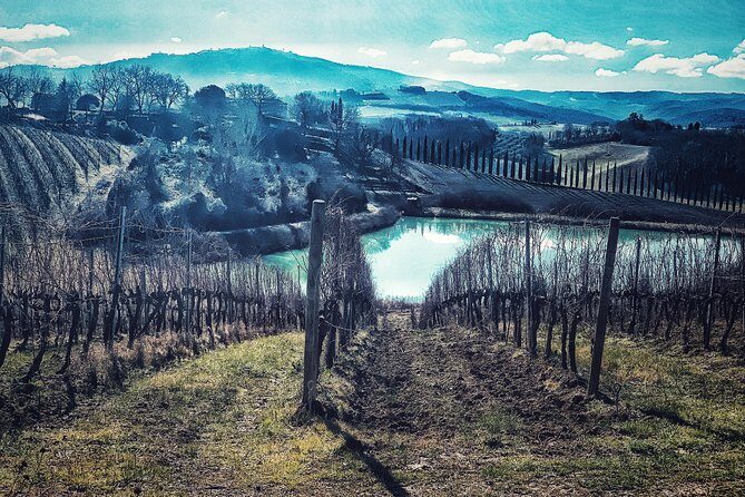 Private Tour: Montalcino Wine Tasting Experience - Who Will Love This Tour?