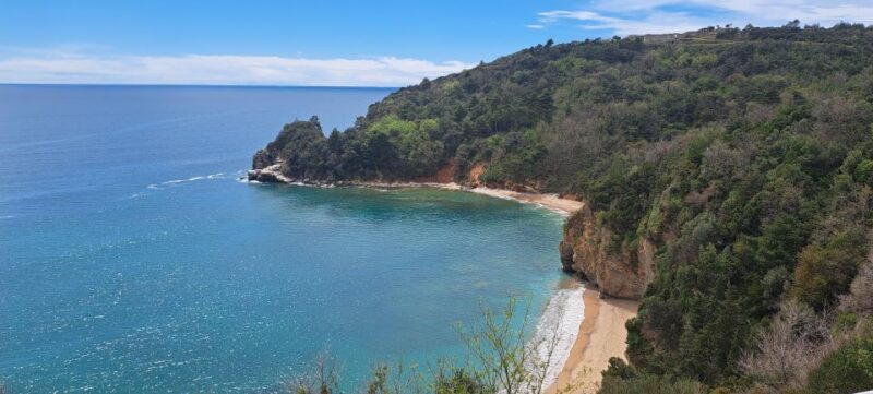 Private Tour: Montenegro Day Trip from Dubrovnik - The Return Journey and Final Impressions