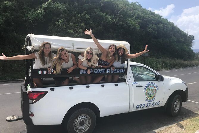 Private Tour Moorea 4WD - Belvedere Pineapple Farm, Magic Mount. - What the Reviews Say About the Experience