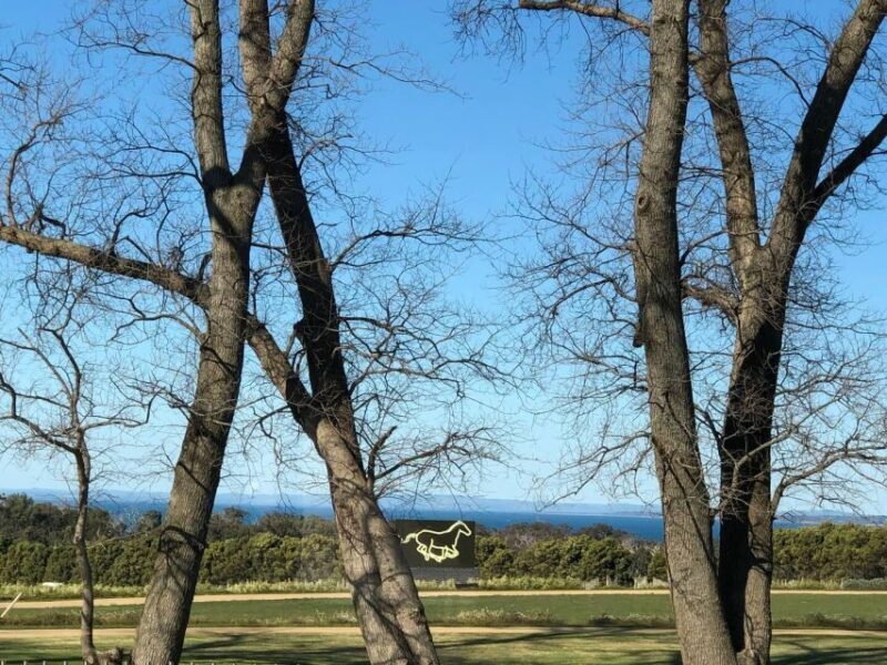 Private Tour: Mornington Peninsula Wine, Beer & Hotsprings - FAQs