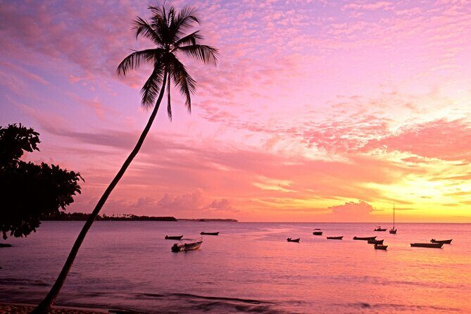 Private Tour Mount Irvine Bay from Tobago - A Closer Look at the Private Mount Irvine Bay Tour