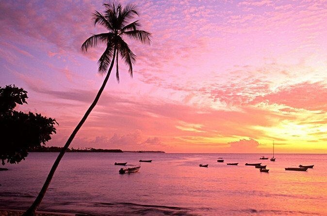 Private Tour Mount Irvine Bay from Tobago - FAQ