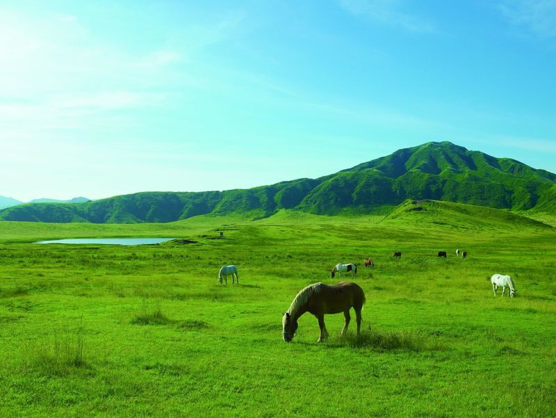 Private Tour: Mt.Aso and Takachiho All-inclusive tour From Kumamoto - Why this route works as a day trip