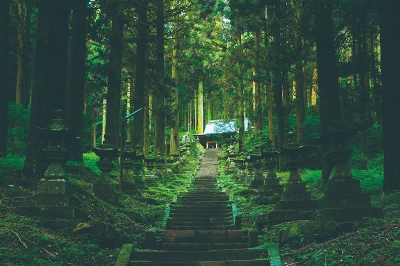 Private Tour: Mt.Aso and Takachiho All-inclusive tour From Kumamoto - Private transport, guide, and pickup details