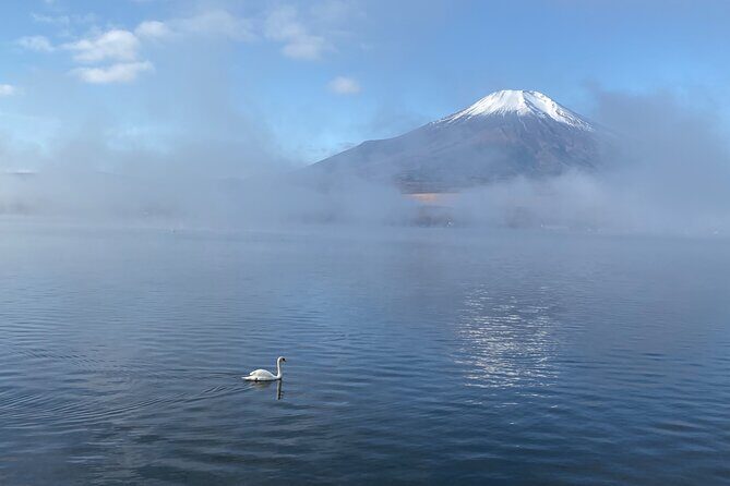 Private Tour Mt. Fuji Hakone Yokohama - Exploring the Itinerary in Detail