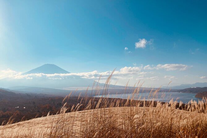 Private Tour Mt. Fuji Hakone Yokohama - The Sum Up