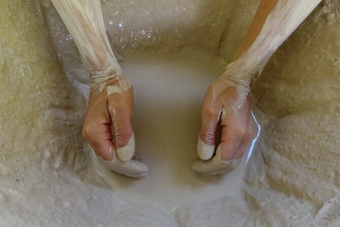 Private Tour Mud Volcano Adventure from Port of Spain - Key Points