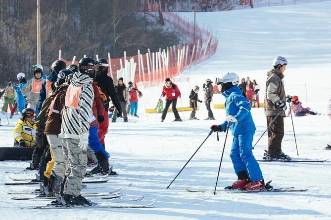 [Private Tour] Nami Island & Ski (Ski Lesson, Equip & Clothing Included) - Summary: Is This Tour Worth It?