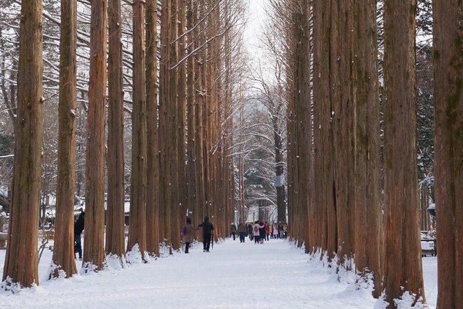 [Private Tour] Nami Island & Ski (Ski Lesson, Equip & Clothing Included) - FAQs