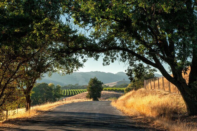 Private Tour Napa and Sonoma Valley Wine - FAQs
