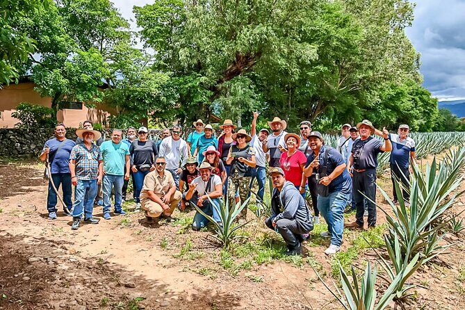 Private Tour New Raicilla Route to Mascota from Puerto Vallarta - The Agave Fields and Raicilla Production