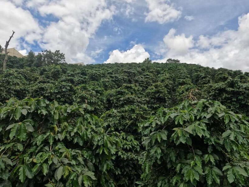 Private tour Nha Trang-Dalat excursion (start at Nha Trang) - FAQ