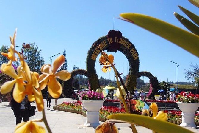 Private tour Nha Trang - Dalat excursion (starting at Nha Trang) - Who Will Love This Tour?