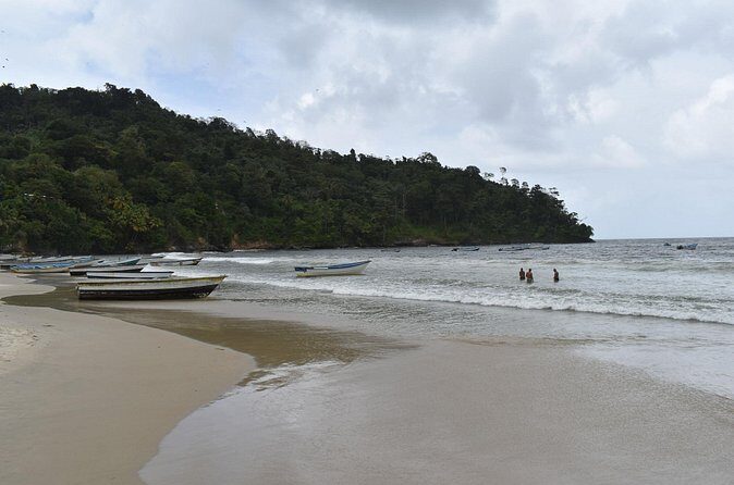 Private Tour North Coast Mountain Tour & Maracas Beach - Who Should Consider This Tour?