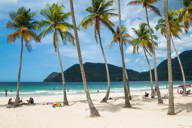 Private Tour North Coast Mountain Tour & Maracas Beach - FAQ