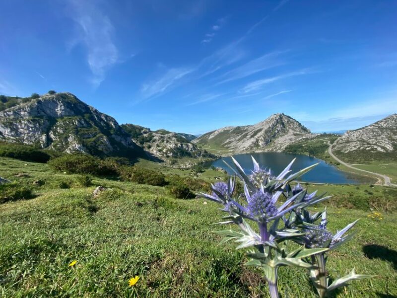 Private Tour Northern Spain 10 days - Exploring Northern Spain: A Detailed Look at the 10-Day Private Tour