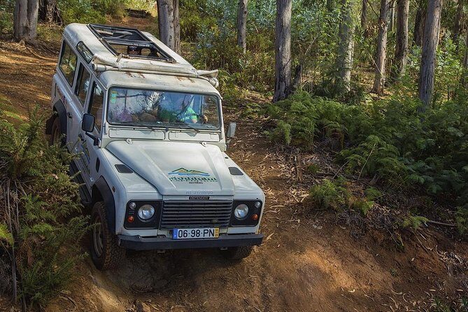 Private Tour: Nun's Valley & Sea Cliff - Half Day Jeep Tour - Exploring Madeira in Style: The Half-Day Jeep Tour