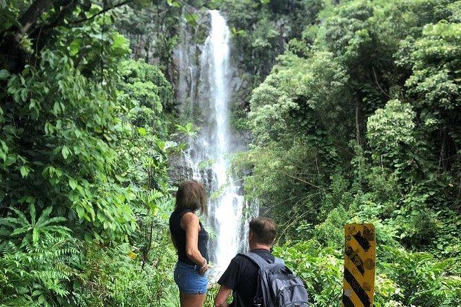 Private Tour : OAHU, MAUI, KAUAI or BIG ISLAND : Pick any Island - Exploring the Details: What This Tour Offers