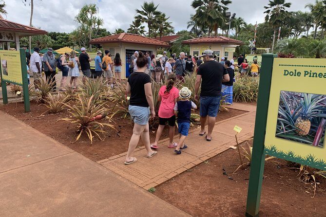 Private Tour : OAHU, MAUI, KAUAI or BIG ISLAND : Pick any Island - The Value of a Private, Customizable Tour