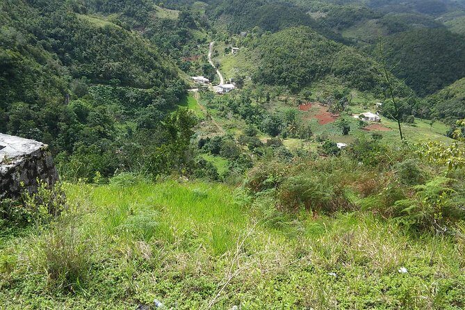 Private Tour Ocho Rios or Runaway Bay To 9 Mile Bob Marley Birth & Resting Place - FAQ: Practical Questions Answered