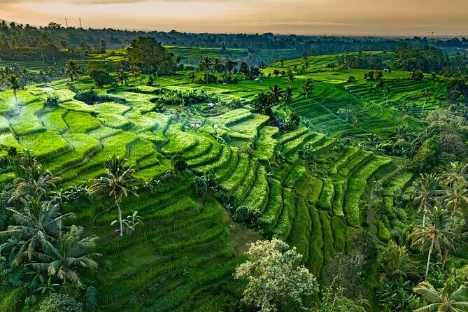 Private Tour of Balis Temples, Rice Terraces & Villages - Exploring Bali’s Highlands: Temples, Rice Terraces & Village Life