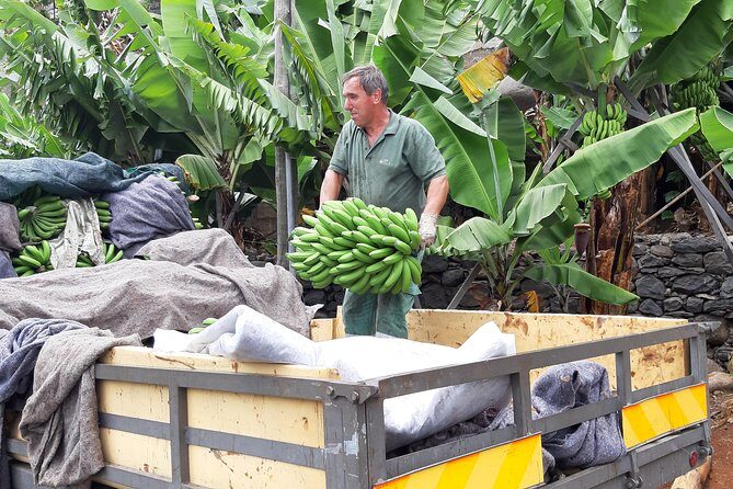 Private Tour of Banana Farm from Funchal - Final Thoughts