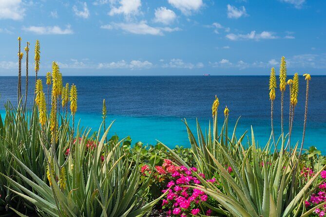 Private Tour of Beaches Hopping Curacao with Willemstad - Value and Overall Impression