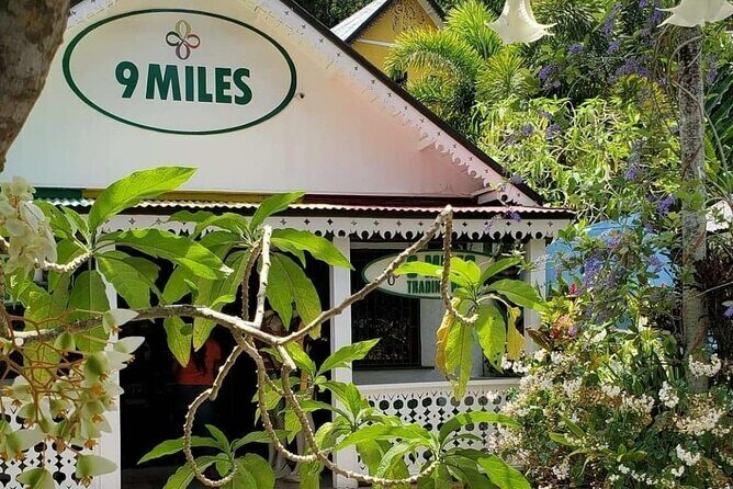Private Tour of Bob Marley Nine Miles from Montego Bay - Exploring the Journey to Bob Marley’s Nine Miles