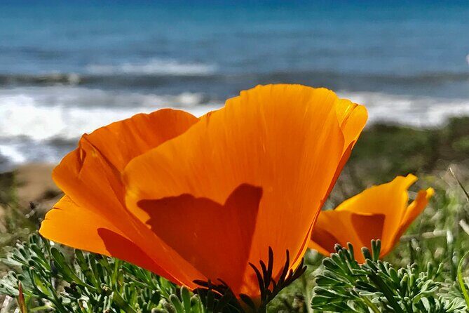 Private Tour of California's Central Coast (San Luis Obispo-Paso Robles-Cambria) - Final Thoughts: Is This Tour Right for You?