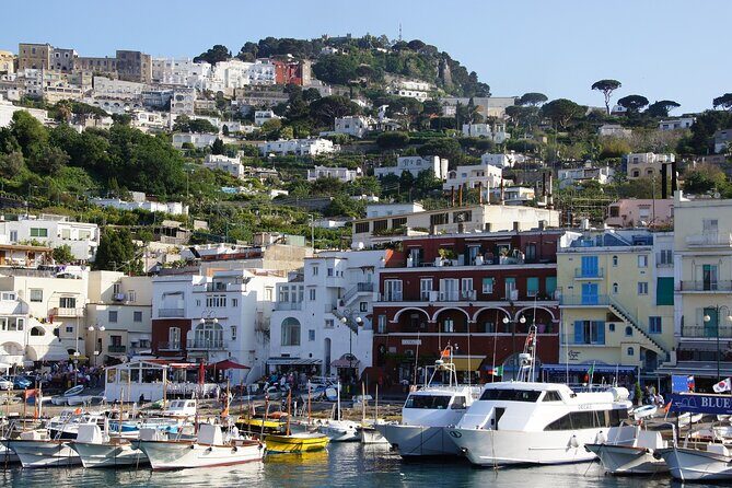 Private tour of Capri & Anacapri with Scenic Shared Boat Ride - Key Points