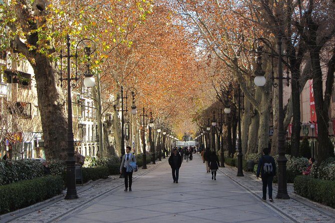 Private tour of central Granada. Total per group max 15 people - FAQ