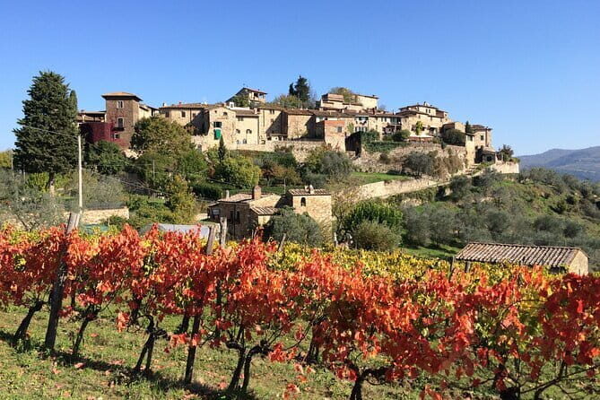 Private Tour of Chianti Siena and San Gimignano by Minivan - Real Traveler Perspectives