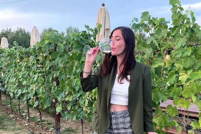 Private Tour Of Chianti with Wine Tastings - A Deep Dive into the Private Chianti Tour Experience