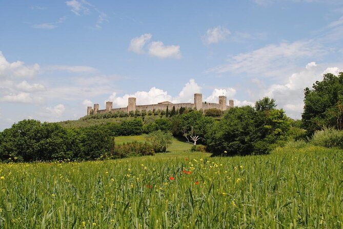 Private Tour Of Chianti with Wine Tastings - Who Would Love This Tour?
