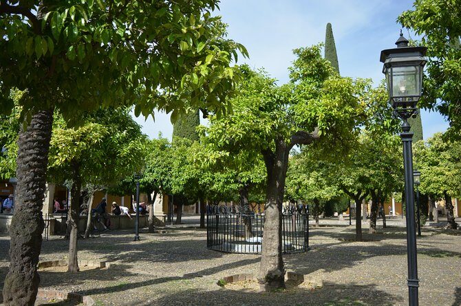 Private Tour of Cordoba Week Days 2 Hours Tickets included - In-Depth Look at the Itinerary