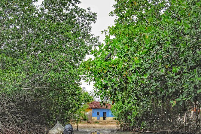 Private Tour of Ecotourism, Culture and Sea in Barú - Why This Tour Excels