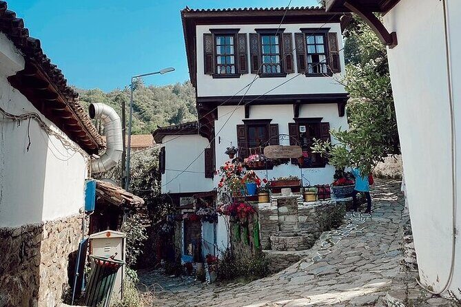 Private Tour of Ephesus, Artemis Temple and Sirince Village - Who Should Consider This Tour?