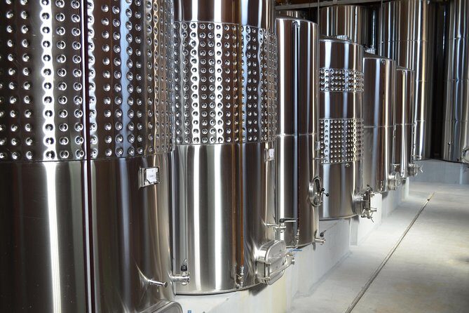 Private Tour of Family Wineries in Bento Gonçalves RS - Who Should Consider This Tour?