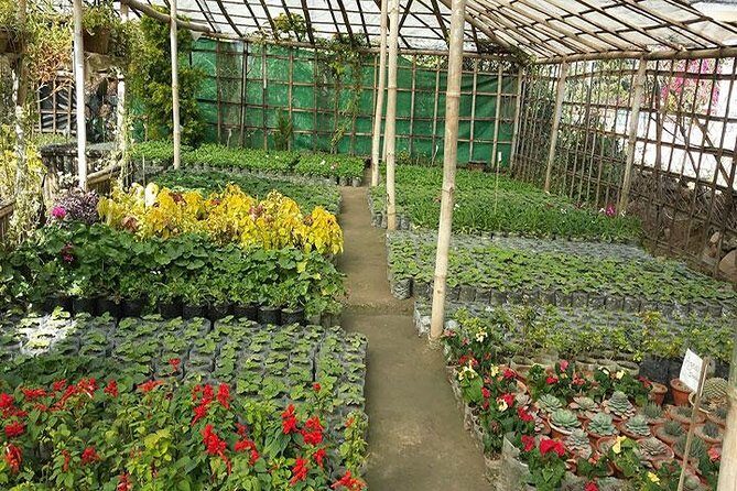 Private Tour of Godawari Botanical Garden Including Lunch - Who Should Consider This Tour?