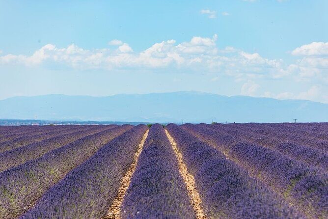 Private Tour of Gorges of Verdon and Fields of Lavender in Nice - A Deep Dive into the Tour Experience