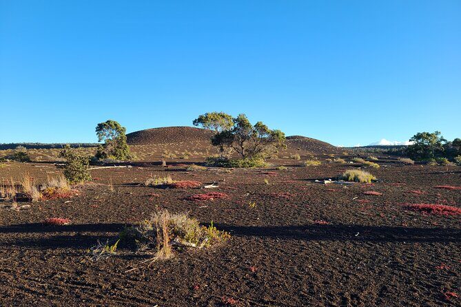 Private Tour of Hawaii Volcanoes National Park - Frequently Asked Questions (FAQs)
