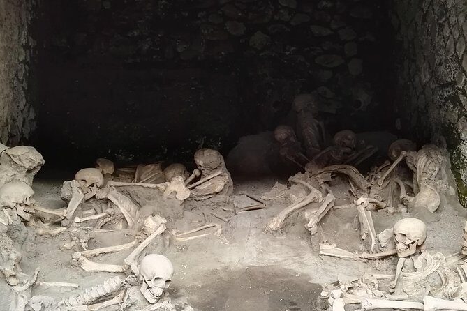 Private Tour Of Herculaneum & Mount Vesuvius - An In-Depth Look at the Tour Experience