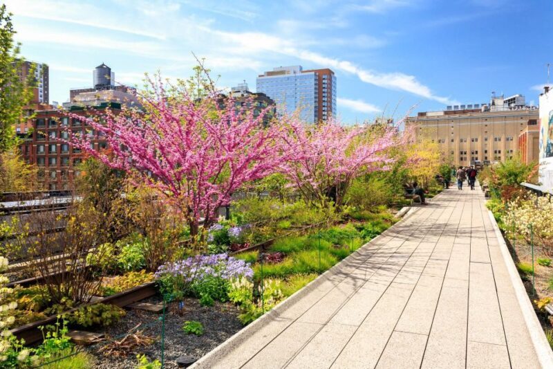 Private Tour of High Line, Chelsea, Hudson Yards and Edge - Who Would Love This Tour?