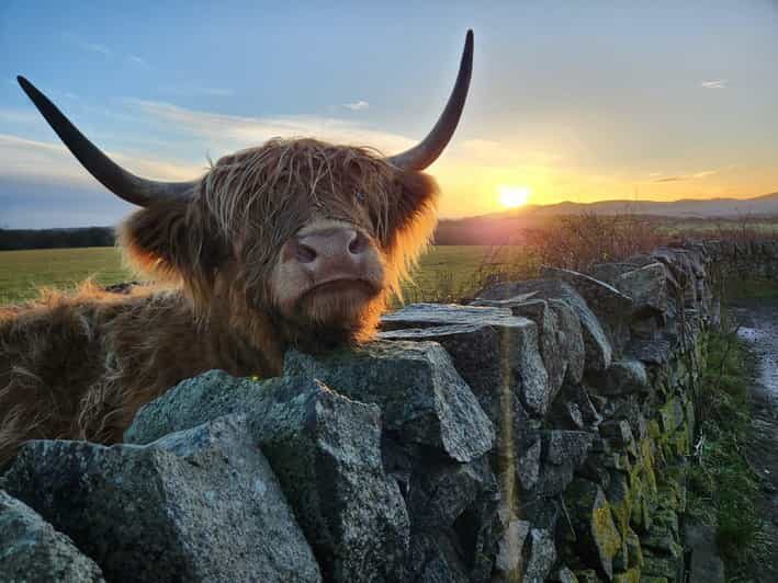 Private Tour of Highlands, Lochs & Castles from Stirling - Key Points