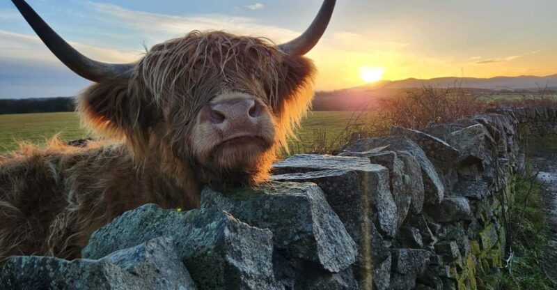 Private Tour of Highlands, Lochs & Castles from Stirling - Who Would Love This Tour?